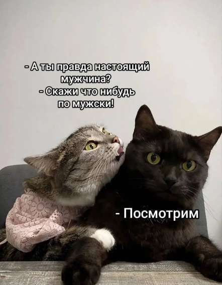 А ты правда настоящий мужчина? Скажи что нибудь по мужски! Посмотрим