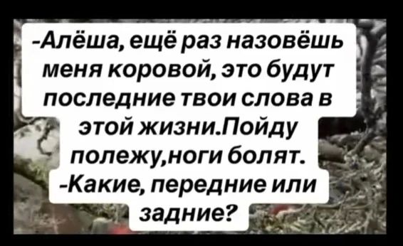 -Алёша, ещё раз назовёшь меня коровой, это будут последние твои слова в этой жизни. Пойду полежу, ноги болят. -Какие, передние или задние?