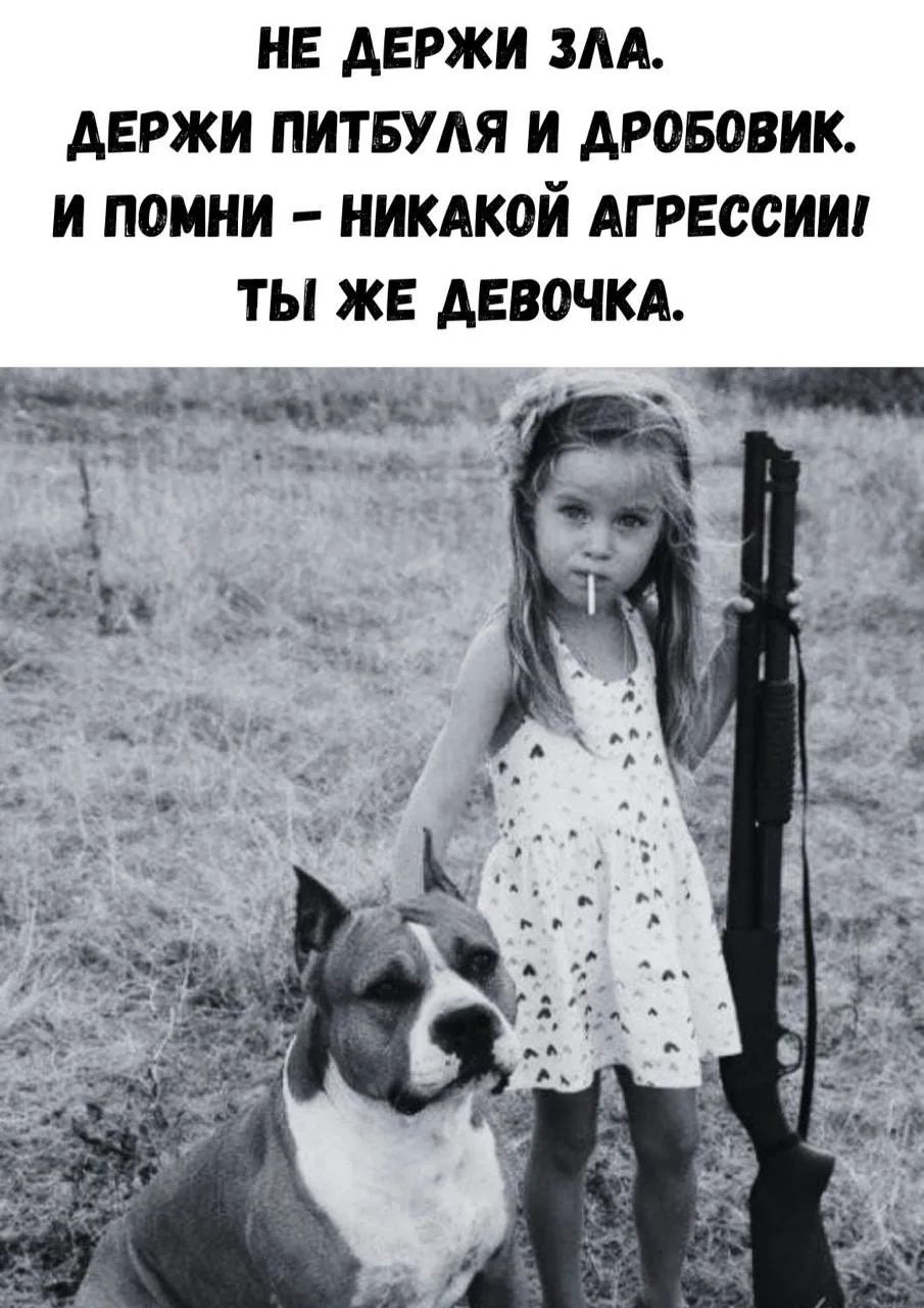 НЕ ДЕРЖИ ЗЛА. ДЕРЖИ ПИТБУЛЯ И ДРОБОВИК. И ПОМНИ – НИКАКОЙ АГРЕССИИ! ТЫ ЖЕ ДЕВОЧКА.