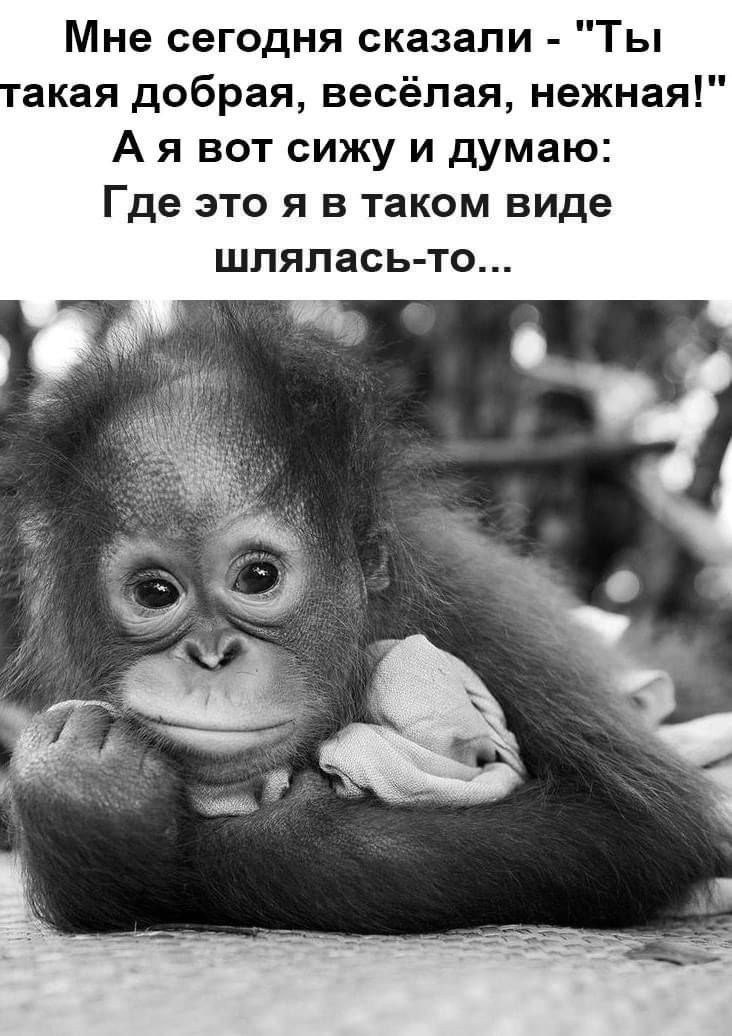 Мне сегодня сказали - 