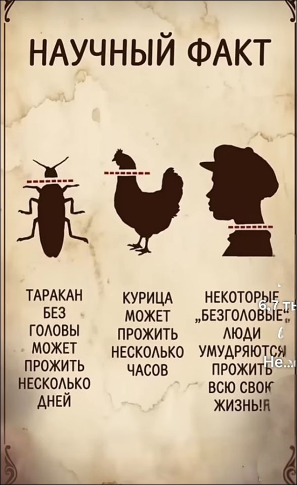НАУЧНЫЙ ФАКТ. ТАРАКАН БЕЗ ГОЛОВЫ МОЖЕТ ПРОЖИТЬ НЕСКОЛЬКО ДНЕЙ. КУРИЦА МОЖЕТ ПРОЖИТЬ НЕСКОЛЬКО ЧАСОВ. НЕКОТОРЫЕ 