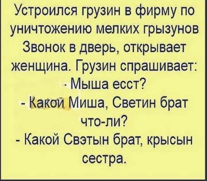 Устроился грузин в фирму по уничтожению мелких грызунов. Звонок в дверь, открывает женщина. Грузин спрашивает: - Мыша есст? - Какой Миша, Светин брат что-ли? - Какой Светын брат, крысын сестра.