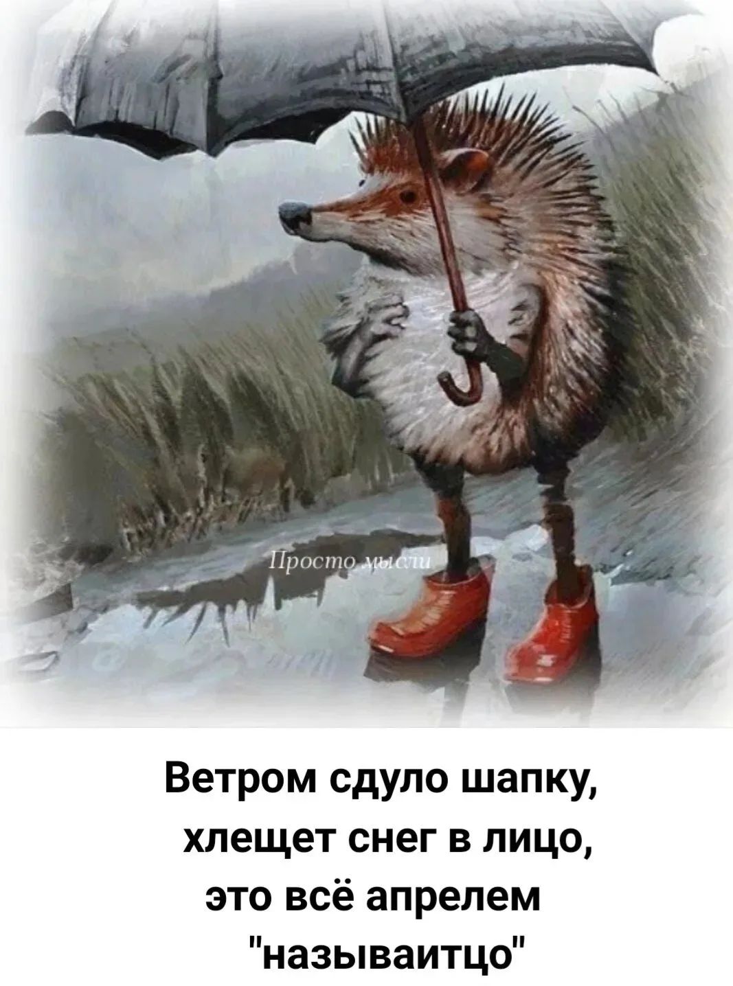 Просто мысли Ветром сдуло шапку, хлещет снег в лицо, это всё апрелем 