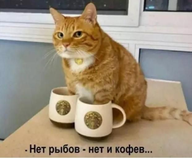 Нет рыбов - нет и кофев...