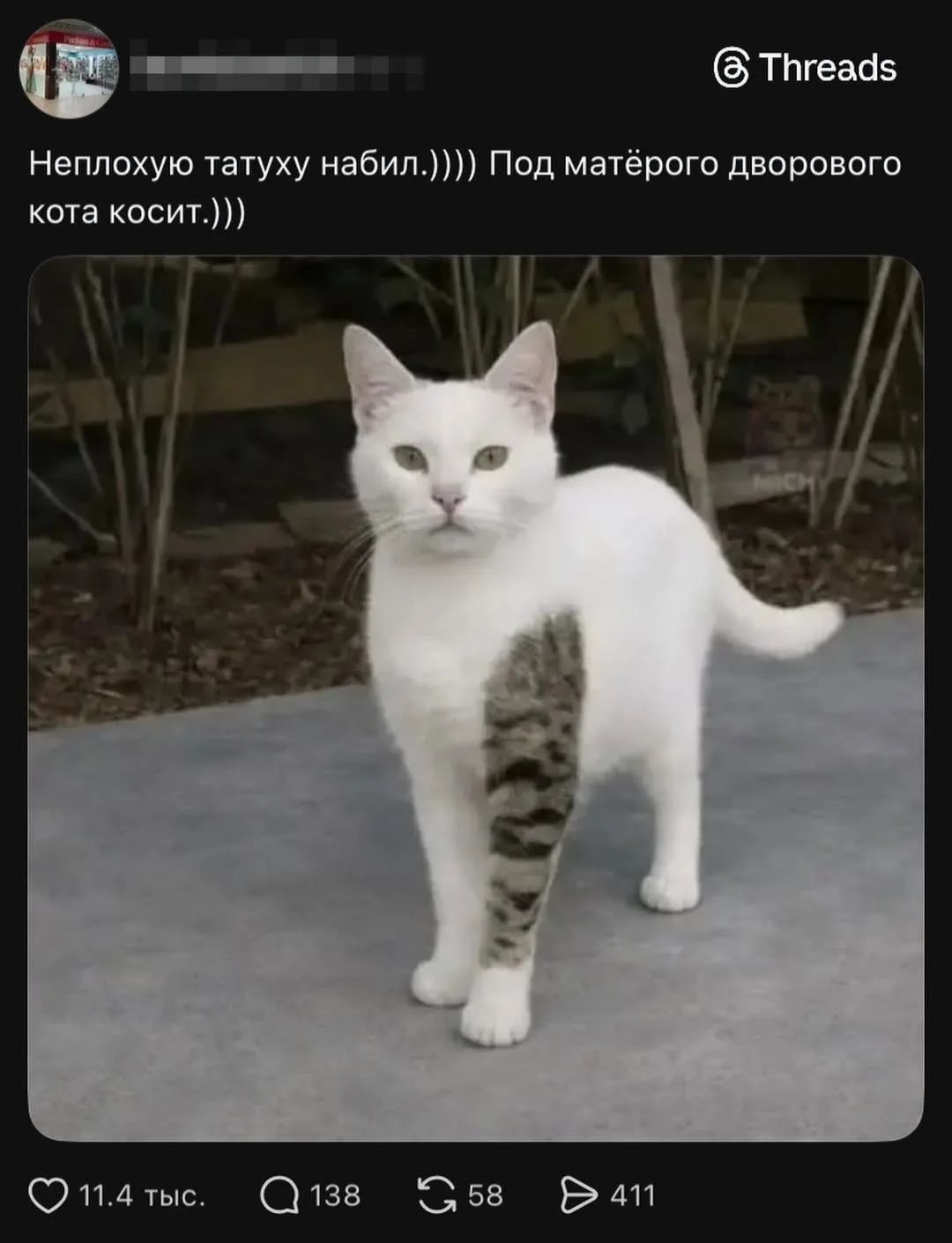 Неплохую татуху набил.))) Под матёрого дворового кота косит.)))