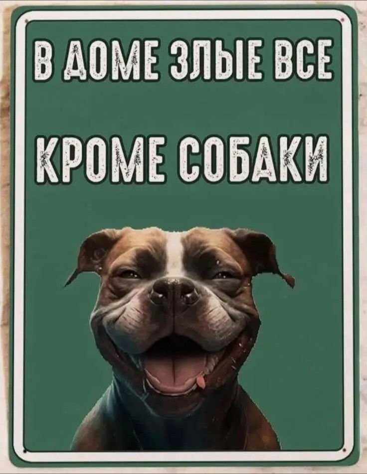 В доме злые все кроме собаки