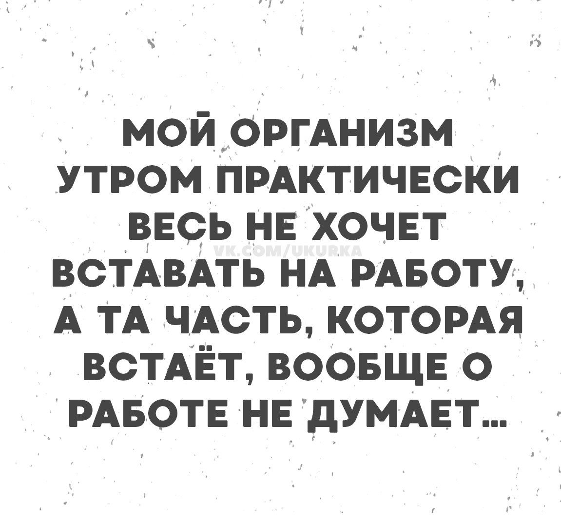 МОЙ ОРГАНИЗМ УТРОМ ПРАКТИЧЕСКИ ВЕСЬ НЕ ХОЧЕТ ВСТАВАТЬ НА РАБОТУ, А ТА ЧАСТЬ, КОТОРАЯ ВСТАЁТ, ВООБЩЕ О РАБОТЕ НЕ ДУМАЕТ...