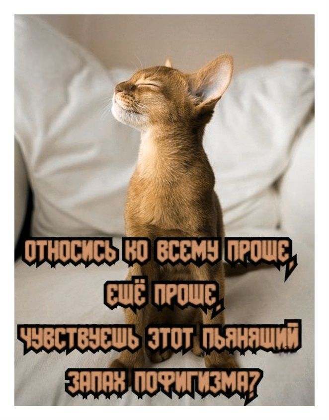 ОТНОСИСЬ КО ВСЕМУ ПРОЩЕ, ЕЩЁ ПРОЩЕ ЧУВСТВУЕШЬ ЭТОТ ПЬЯНЯЩИЙ ЗАПАХ ПОФИГИЗМА?