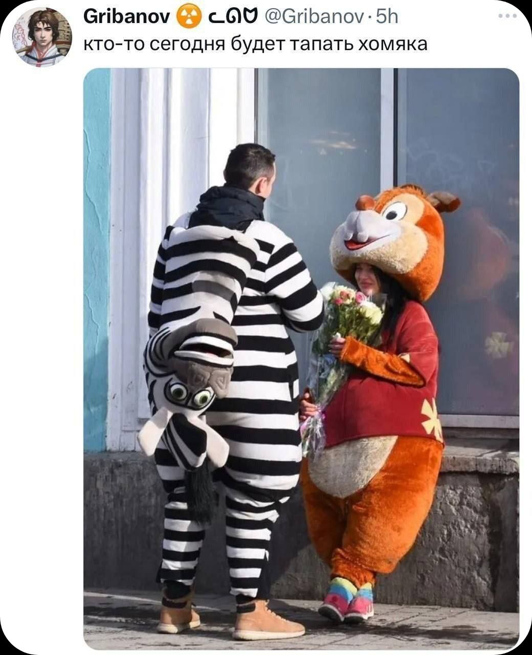 кто-то сегодня будет тапать хомяка