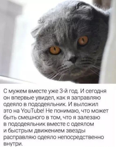 С мужем вместе уже 3-й год. И сегодня он впервые увидел, как я заправляю одеяло в пододеяльник. И выложил это на YouTube! Не понимаю, что может быть смешного в том, что я залезаю в пододеяльник вместе с одеялом и быстрым движением звезды расправляю одеяло непосредственно внутри.