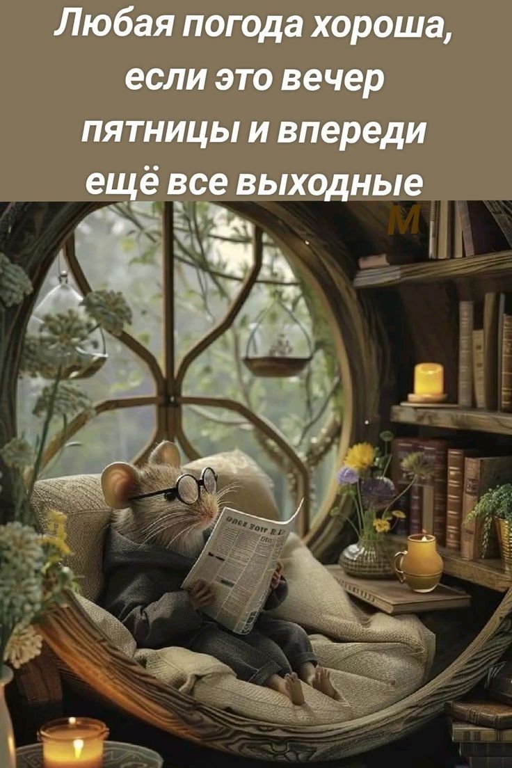 Любая погода хороша, если это вечер пятницы и впереди ещё все выходные