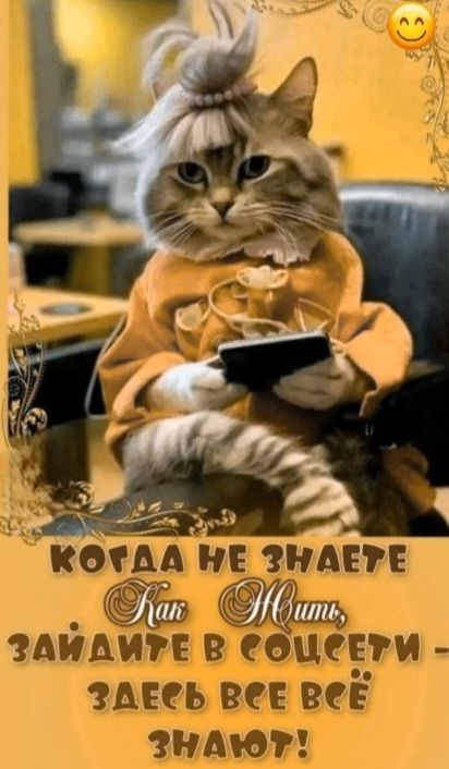 КОГДА НЕ ЗНАЕТЕ Как Жить, ЗАЙДИТЕ В СОЦСЕТИ - ЗДЕСЬ ВСЕ ВСЁ ЗНАЮТ!