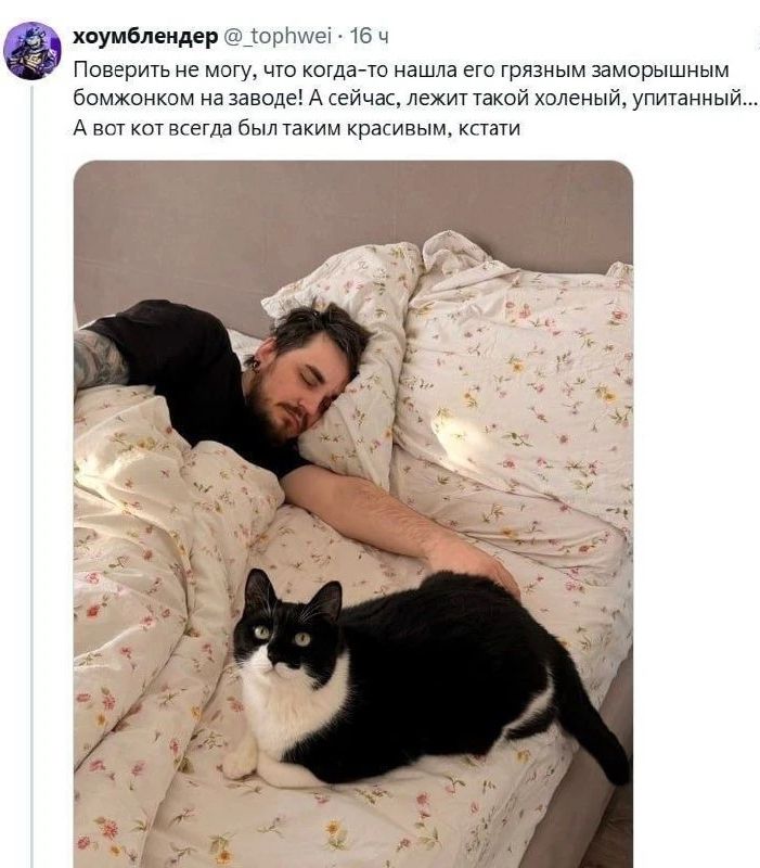 Поверить не могу, что когда-то нашла его грязным заморышным бомжонком на заводе! А сейчас, лежит такой холеный, упитанный... А вот кот всегда был таким красивым, кстати