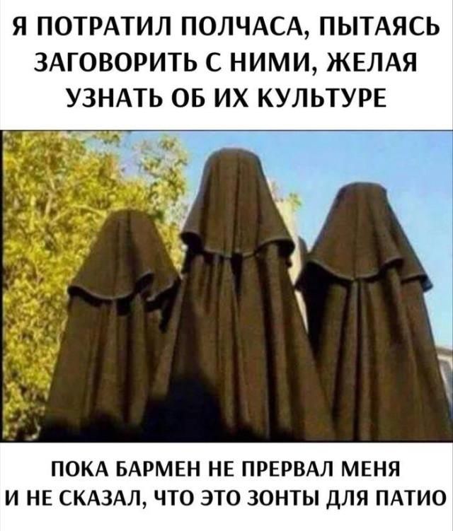 Я ПОТРАТИЛ ПОЛЧАСА, ПЫТАЯСЬ ЗАГОВОРИТЬ С НИМИ, ЖЕЛАЯ УЗНАТЬ ОБ ИХ КУЛЬТУРЕ ПОКА БАРМЕН НЕ ПРЕРВАЛ МЕНЯ И НЕ СКАЗАЛ, ЧТО ЭТО ЗОНТЫ ДЛЯ ПАТИО