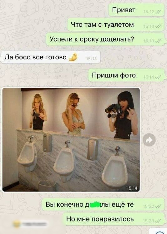Привет Что там с туалетом Успели к сроку доделать? Да босс все готово Пришли фото Вы конечно д***лы еще те Но мне понравилось