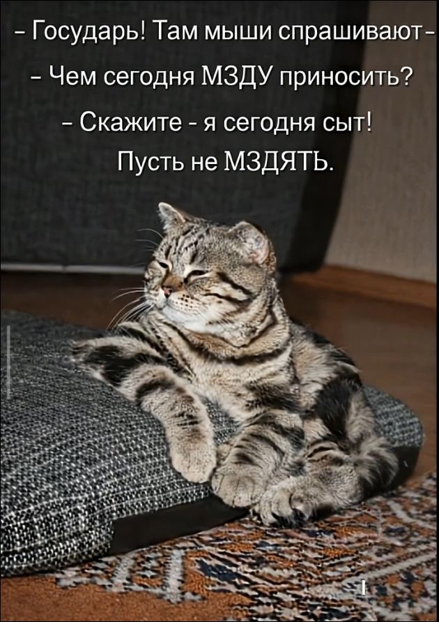 Государь! Там мыши спрашивают- Чем сегодня МЗДУ приносить? Скажите - я сегодня сыт! Пусть не МЗДЯТЬ.
