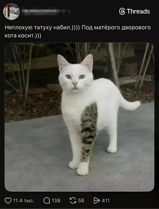 Неплохую татуху набил.))) Под матёрого дворового кота косит.)))