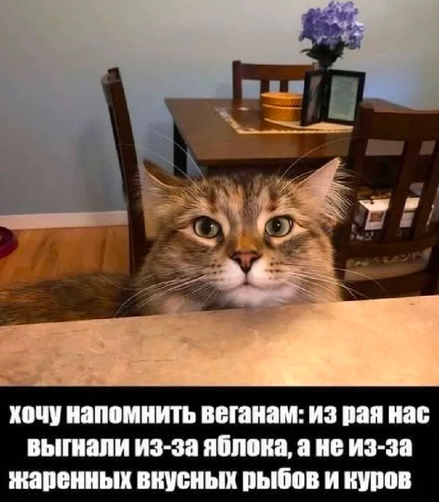 ХОЧУ НАПОМНИТЬ ВЕГАНАМ: ИЗ РАЯ НАС ВЫГНАЛИ ИЗ-ЗА ЯБЛОКА, А НЕ ИЗ-ЗА ЖАРЕННЫХ ВКУСНЫХ РЫБОВ И КУРОВ