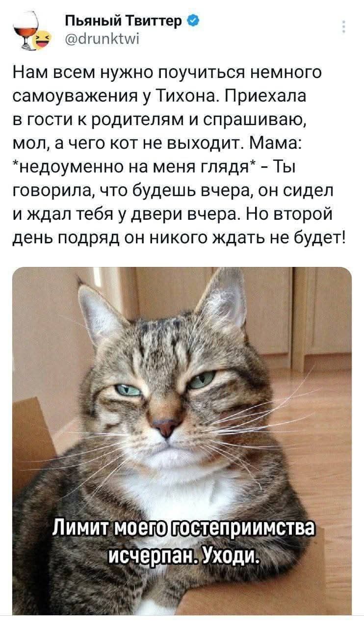 Пьяный Твиттер @drunktwi Нам всем нужно поучиться немного самоуважения у Тихона. Приехала в гости к родителям и спрашиваю, мол, а чего кот не выходит. Мама: *недоуменно на меня глядя* - Ты говорила, что будешь вчера, он сидел и ждал тебя у двери вчера. Но второй день подряд он никого ждать не будет! Лимит моего гостеприимства исчерпан. Уходи.