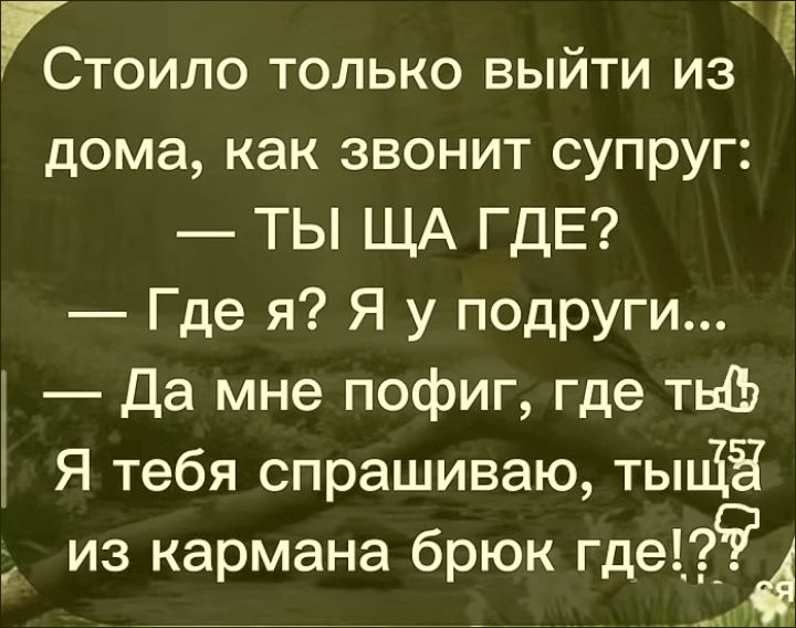 Стоило только выйти из дома, как звонит супруг: — ТЫ ЩА ГДЕ? — Где я? Я у подруги... — Да мне пофиг, где ты Я тебя спрашиваю, тыща из кармана брюк где!???