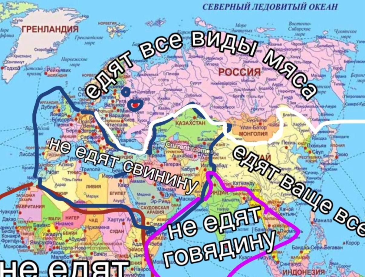 На карте показаны регионы мира с различными пищевыми привычками: Северная Европа и Россия едят все виды мяса; Южная Европа, Северная Африка, Ближний Восток и Центральная Азия не едят свинину; Восточная и Юго-Восточная Азия едят вообще все; Индия не ест говядину.