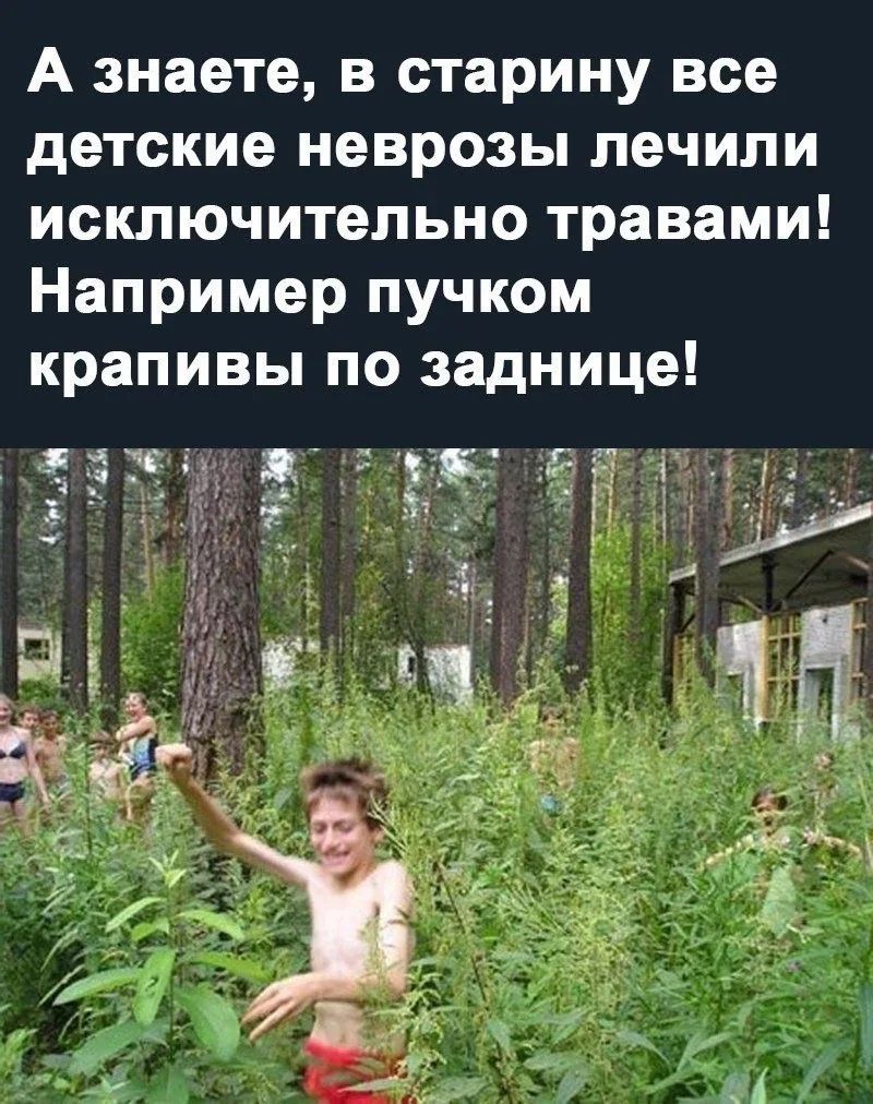 А знаете, в старину все детские неврозы лечили исключительно травами! Например пучком крапивы по заднице!