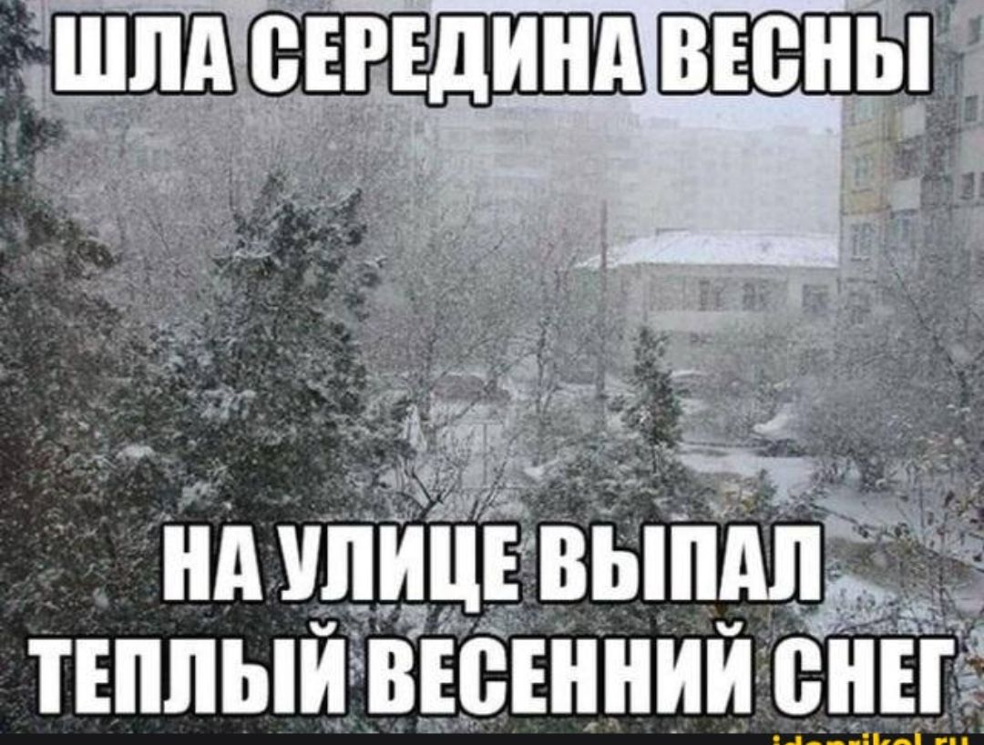 ШЛА СЕРЕДИНА ВЕСНЫ НА УЛИЦЕ ВЫПАЛ ТЕПЛЫЙ ВЕСЕННИЙ СНЕГ