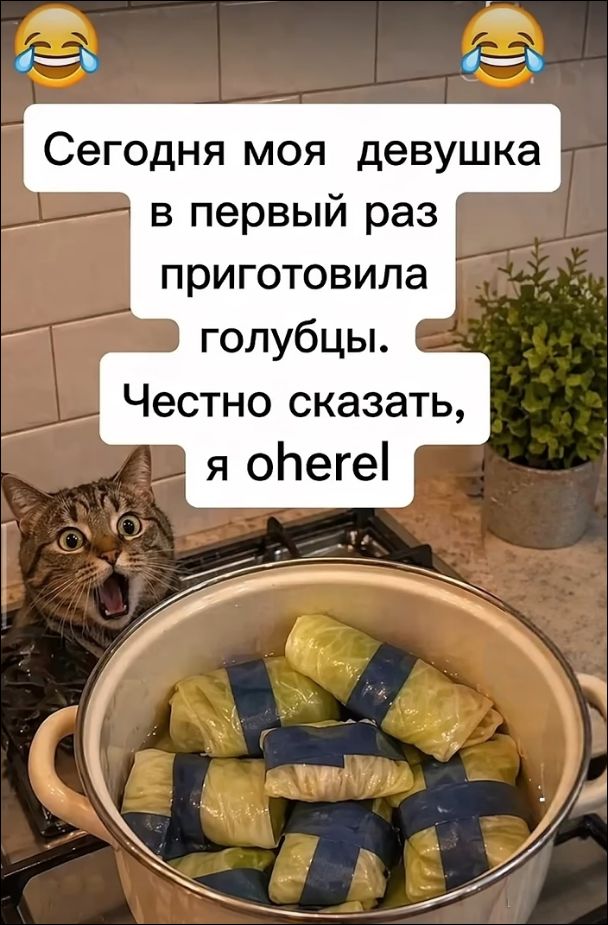 Сегодня моя девушка в первый раз приготовила голубцы. Честно сказать, я oherel