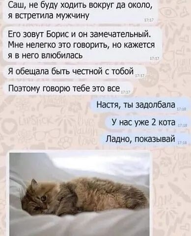 Саш, не буду ходить вокруг да около, я встретила мужчину. Его зовут Борис и он замечательный. Мне нелегко это говорить, но кажется я в него влюбилась. Я обещала быть честной с тобой. Поэтому говорю тебе это все. Настя, ты задолбала. У нас уже 2 кота. Ладно, показывай.