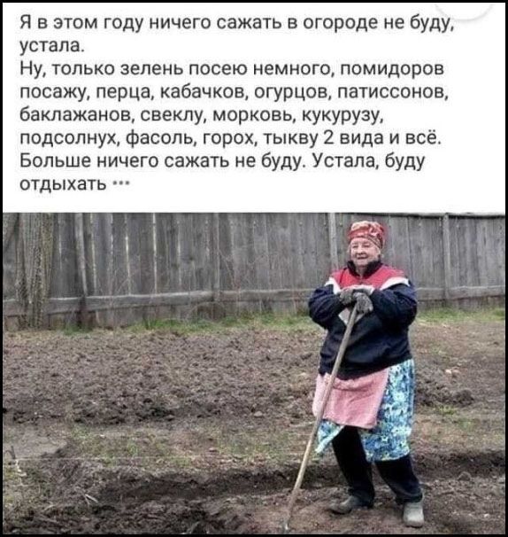 Я в этом году ничего сажать в огороде не буду, устала.
Ну, только зелень посею немного, помидоров посажу, перца, кабачков, огурцов, патиссонов, баклажанов, свеклу, морковь, кукурузу, подсолнух, фасоль, горох, тыкву 2 вида и всё. Больше ничего сажать не буду. Устала, буду отдыхать ...