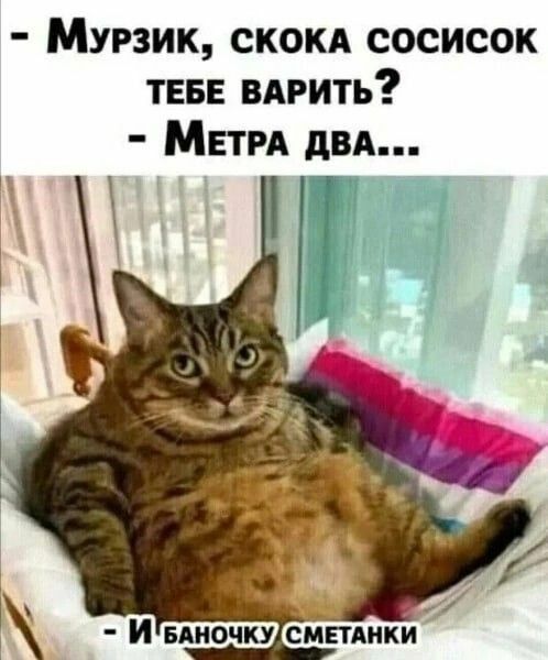 МУРЗИК, СКОКА СОСИСОК ТЕБЕ ВАРИТЬ? - МЕТРА ДВА... - И БАНОЧКУ СМЕТАНКИ