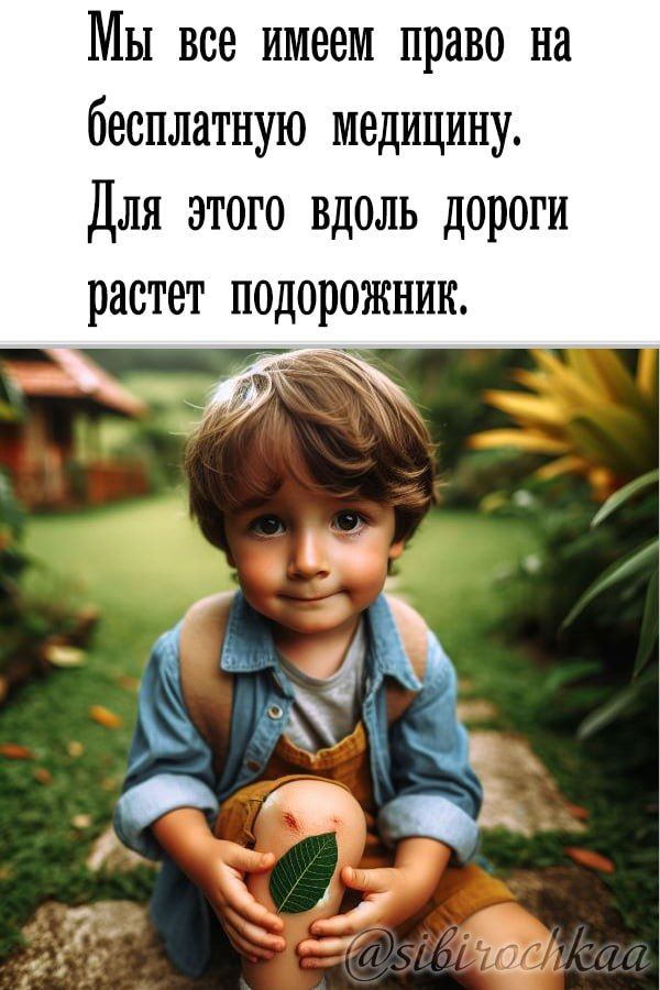 Мы все имеем право на бесплатную медицину. Для этого вдоль дороги растет подорожник.