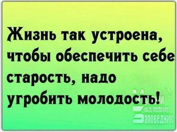 Жизнь так устроена, чтобы обеспечить себе старость, надо угробить молодость!