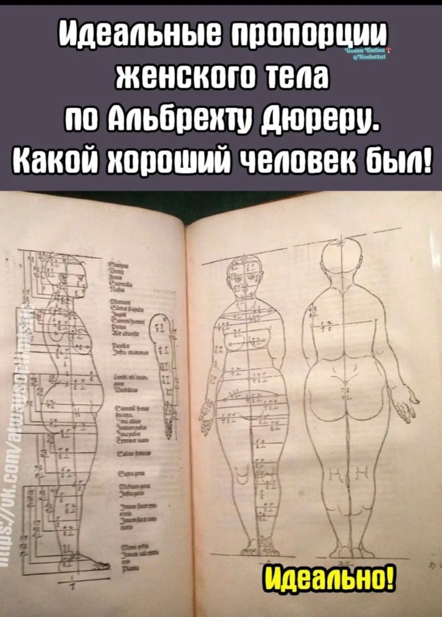 ИДЕАЛЬНЫЕ ПРОПОРЦИИ ЖЕНСКОГО ТЕЛА ПО АЛЬБРЕХТУ ДЮРЕРУ. КАКОЙ ХОРОШИЙ ЧЕЛОВЕК БЫЛ! ИДЕАЛЬНО!