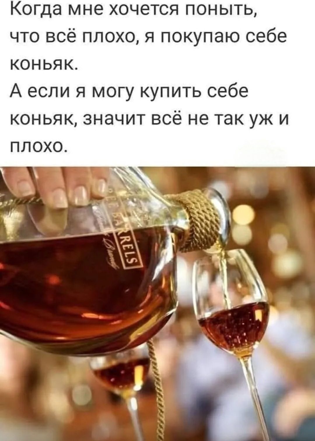 Когда мне хочется поныть, что всё плохо, я покупаю себе коньяк. А если я могу купить себе коньяк, значит всё не так уж и плохо.