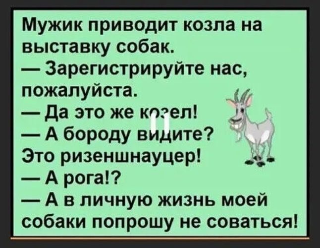 Мужик приводит козла на выставку собак.
— Зарегистрируйте нас, пожалуйста.
— Да это же козел!
— А бороду видите? Это ризеншнауцер!
— А рога!?
— А в личную жизнь моей собаки попрошу не соваться!