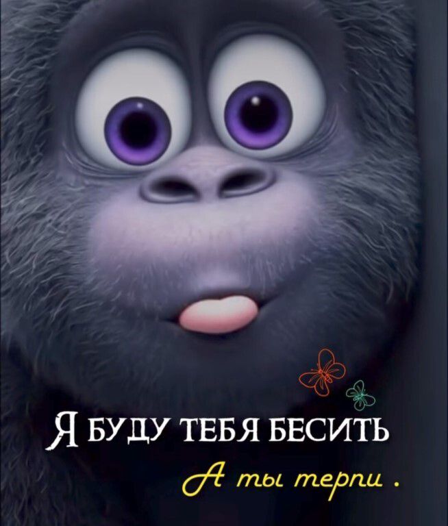 Я буду тебя бесить А ты терпи.