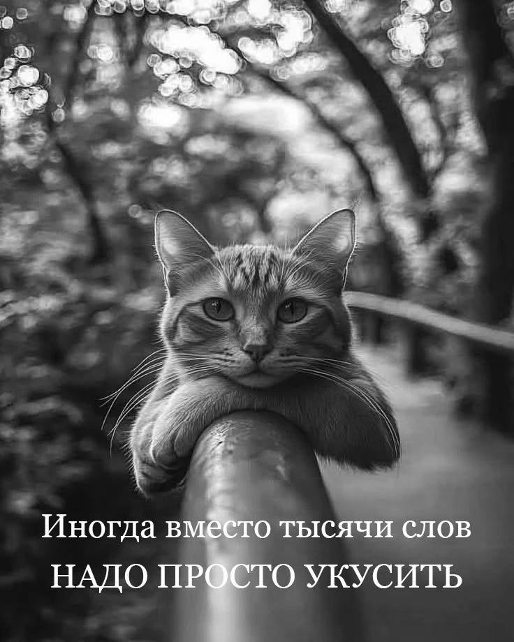 Иногда вместо тысячи слов НАДО ПРОСТО УКУСИТЬ