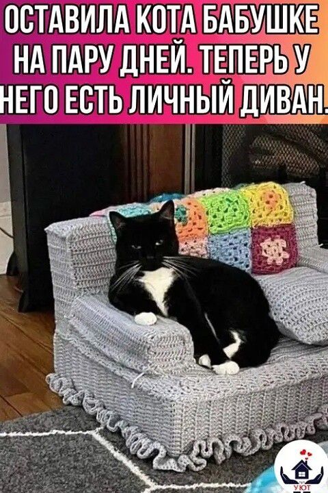 ОСТАВИЛА КОТА БАБУШКЕ НА ПАРУ ДНЕЙ. ТЕПЕРЬ У НЕГО ЕСТЬ ЛИЧНЫЙ ДИВАН.