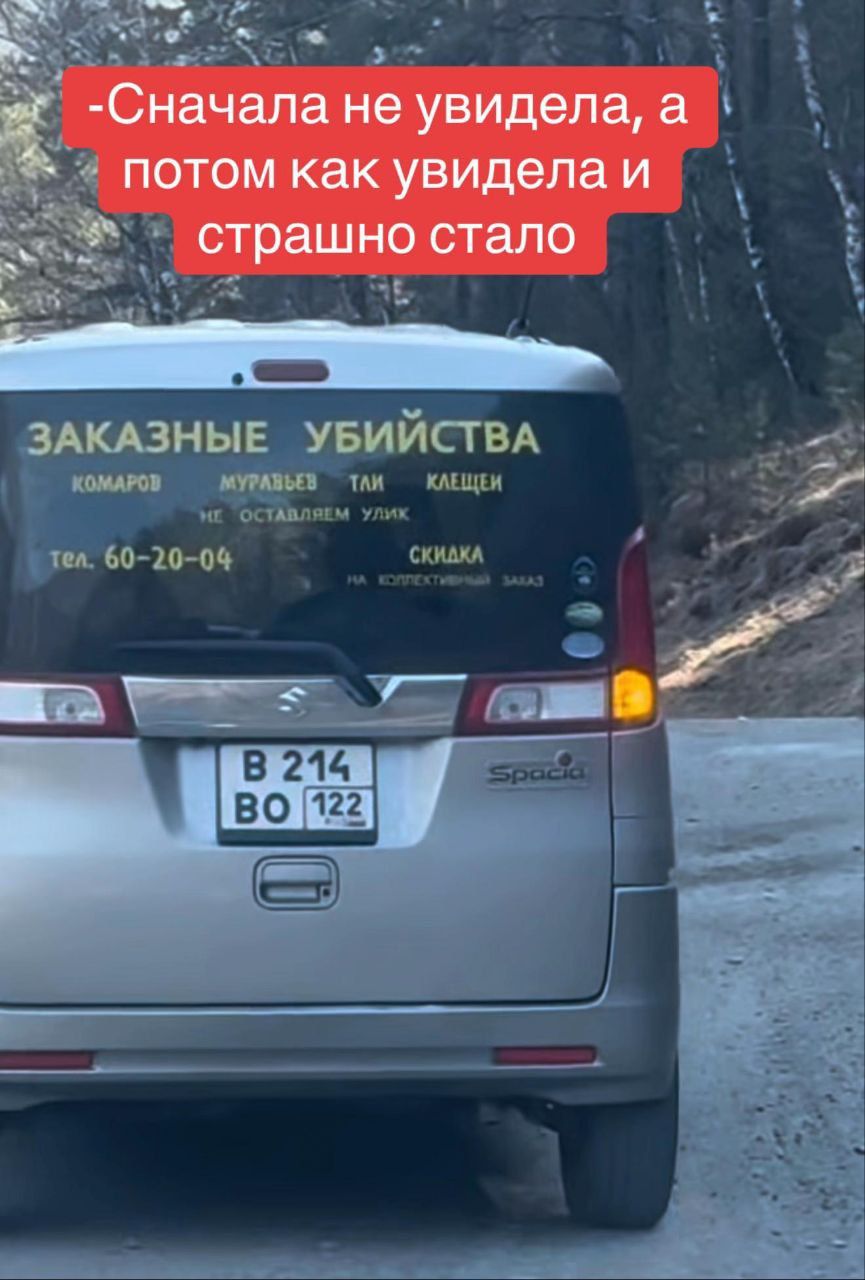 Сначала не увидела, а потом как увидела и страшно стало. ЗАКАЗНЫЕ УБИЙСТВА КОМАРОВ МУРАВЬЕВ ТЛИ КЛЕЩЕЙ. НЕ ОСТАВЛЯЕМ УЛИК. тел. 60-20-04. СКИДКА НА КОЛЛЕКТИВНЫЙ ЗАКАЗ.