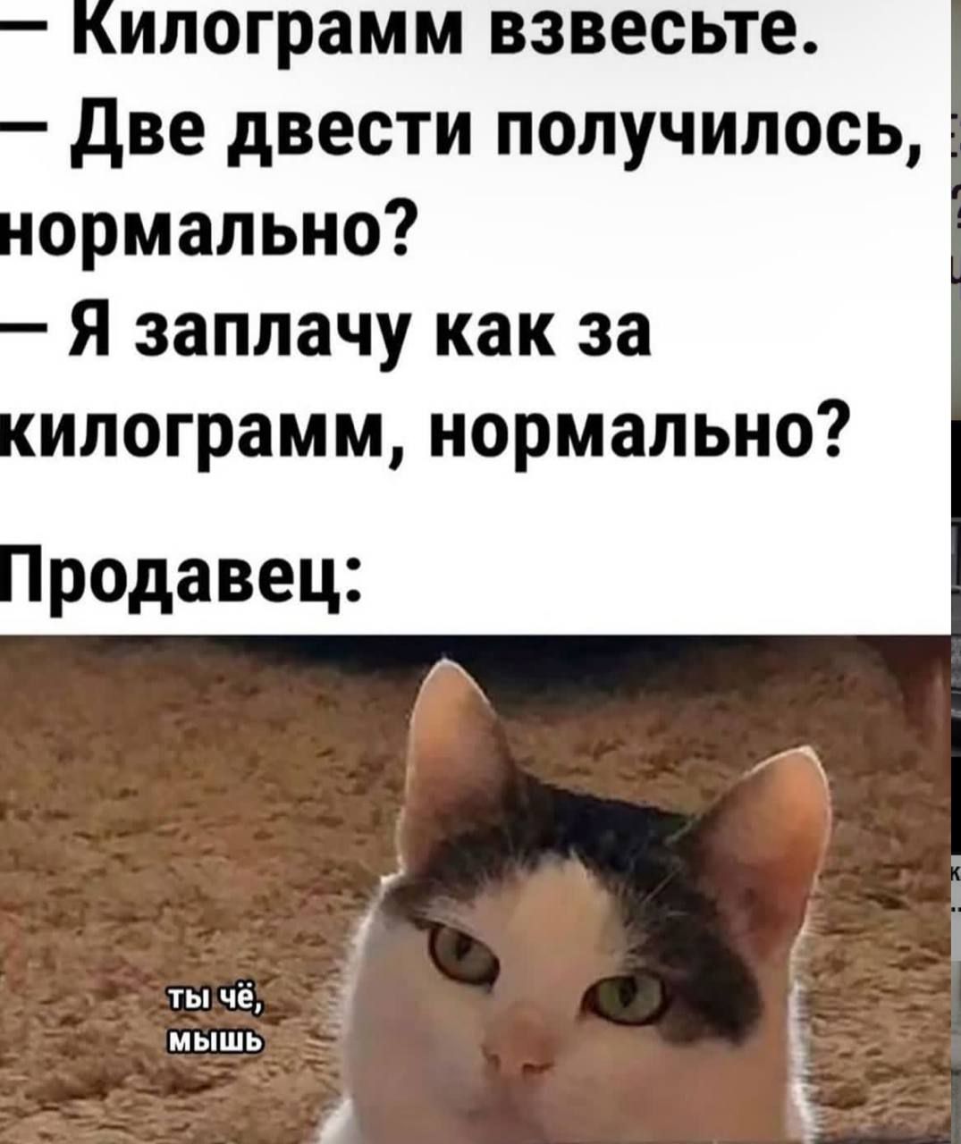 Килограмм взвесьте. Две двести получилось, нормально? Я заплачу как за килограмм, нормально? Продавец: ты чё, мышь