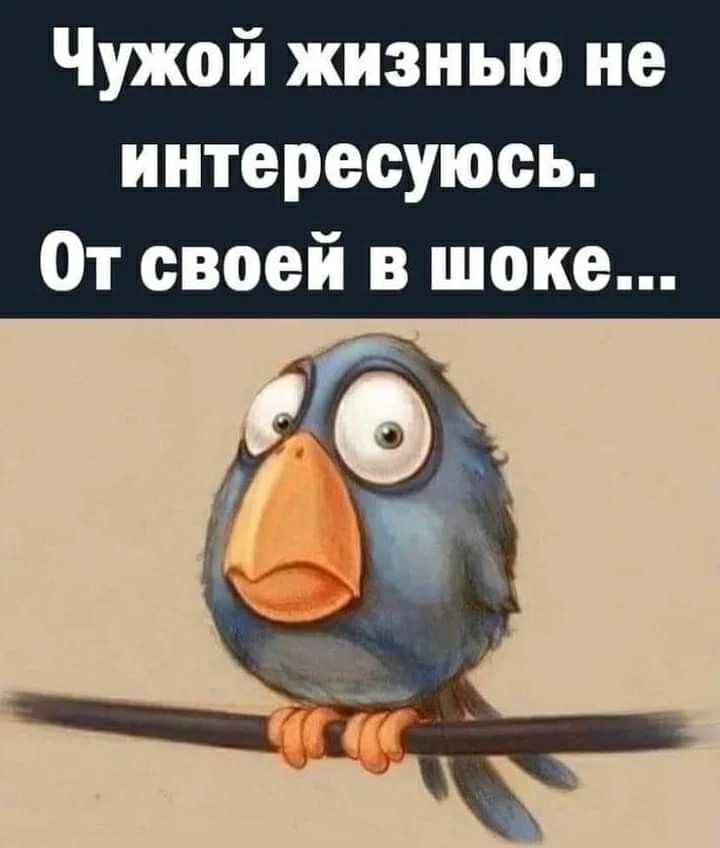 Чужой жизнью не интересуюсь. От своей в шоке...