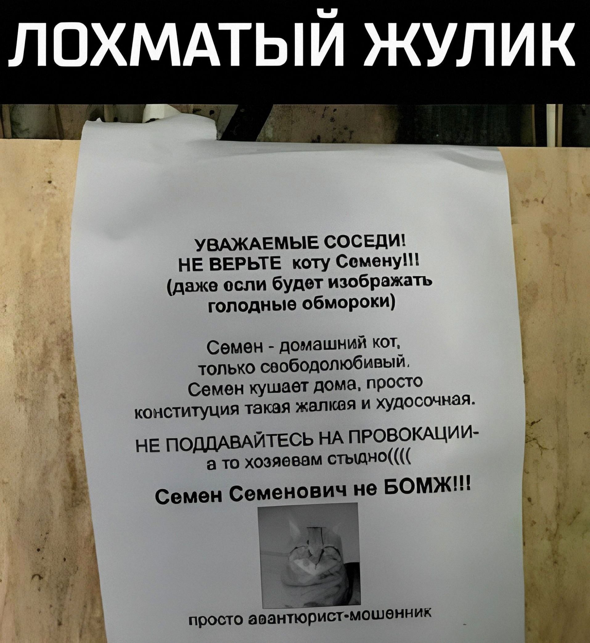 ЛОХМАТЫЙ ЖУЛИК УВАЖАЕМЫЕ СОСЕДИ! НЕ ВЕРЬТЕ коту Семену!!! (даже если будет изображать голодные обмороки) Семен - домашний кот, только свободолюбивый. Семен кушает дома, просто конституция такая жалкая и худосочная. НЕ ПОДДАВАЙТЕСЬ НА ПРОВОКАЦИИ- а то хозяевам стыдно(((( Семен Семенович не БОМЖ!!! просто авантюрист-мошенник