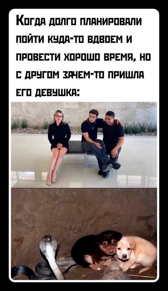 Когда долго планировали пойти куда-то вдвоем и провести хорошо время, но с другом зачем-то пришла его девушка: