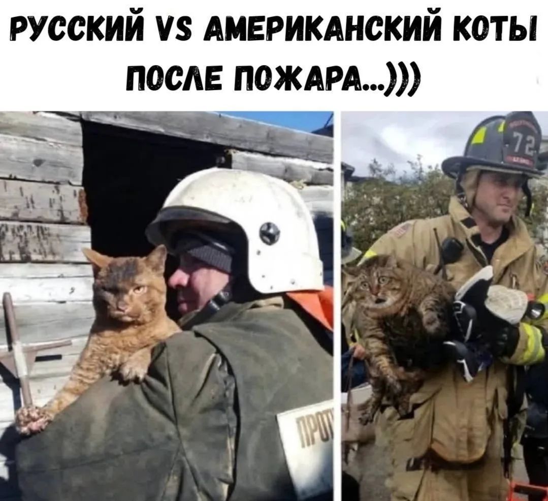 РУССКИЙ VS АМЕРИКАНСКИЙ КОТЫ ПОСЛЕ ПОЖАРА...)))