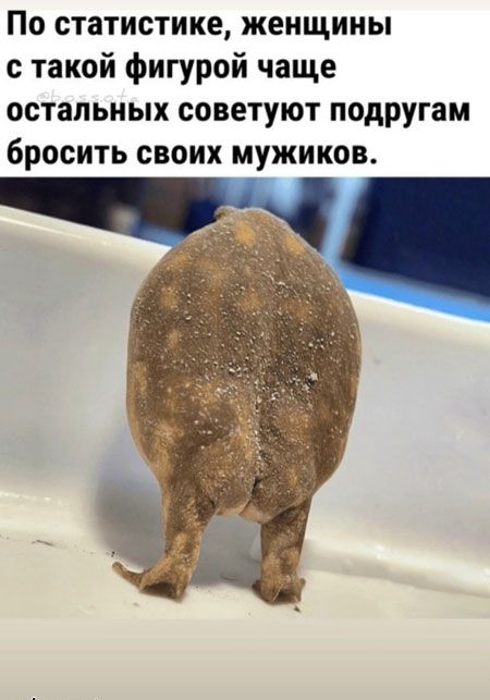 По статистике, женщины с такой фигурой чаще остальных советуют подругам бросить своих мужиков.