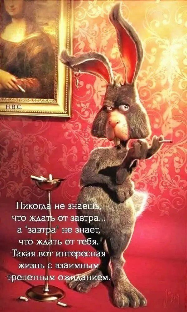 H.B.C. Никогда не знаешь, что ждать от завтра... а 