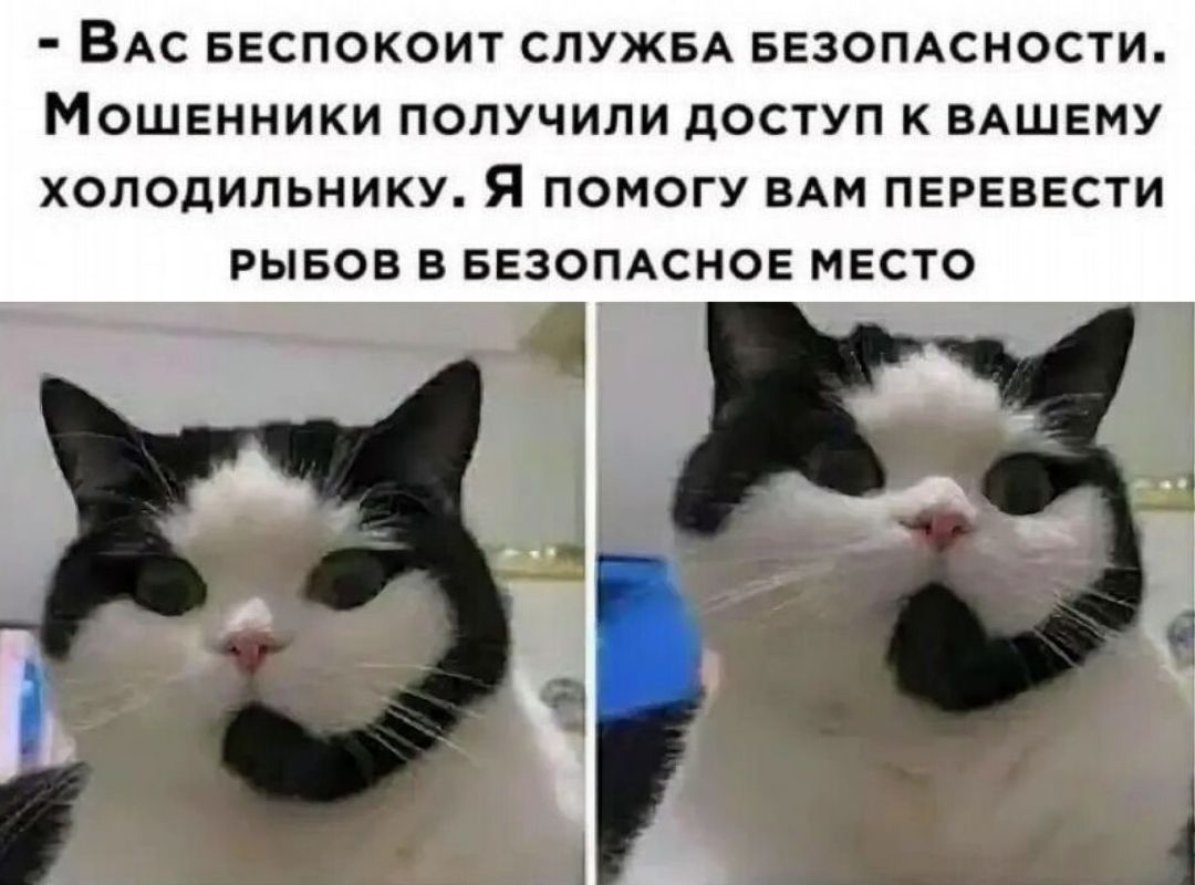 - Вас беспокоит служба безопасности. Мошенники получили доступ к вашему холодильнику. Я помогу вам перевести рыбов в безопасное место