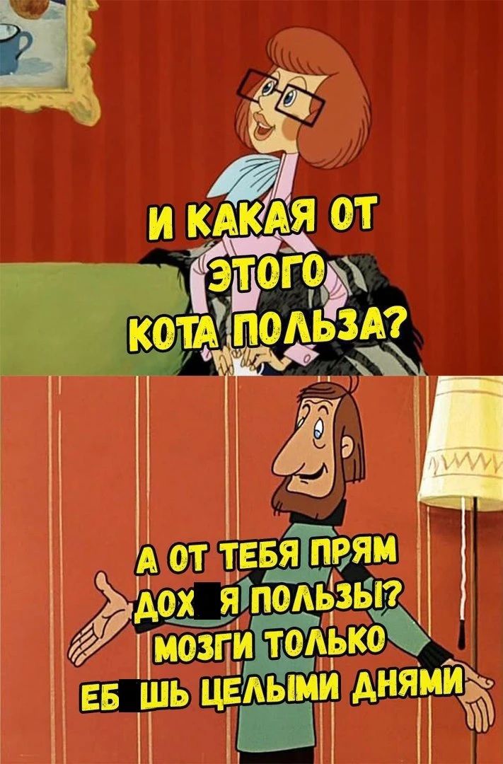 И какая от этого кота польза? А от тебя прям дох*я пользы? Мозги только еб*шь целыми днями.