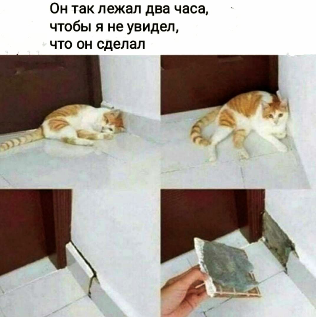Он так лежал два часа, чтобы я не увидел, что он сделал